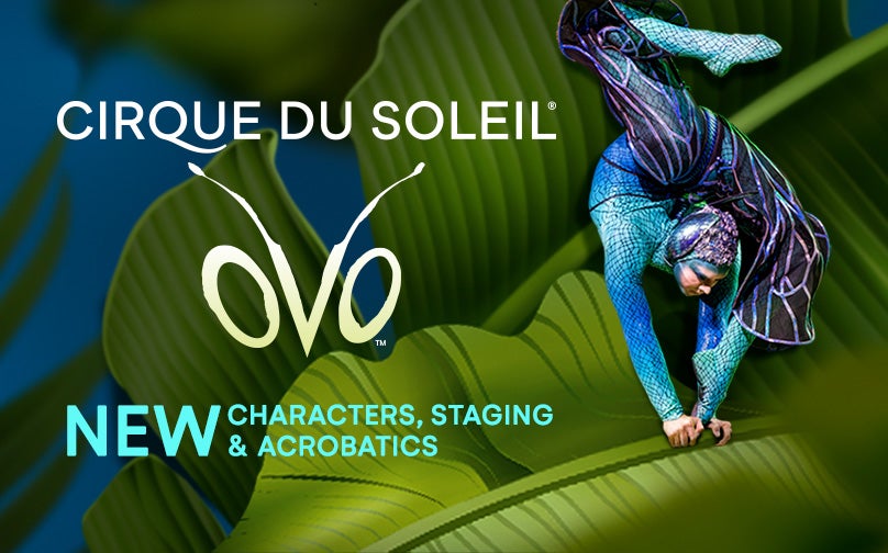 More Info for OVO by Cirque du Soleil coming to First Horizon Coliseum