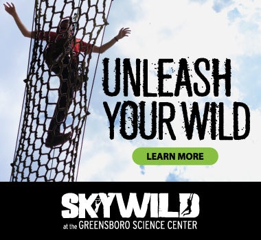 SKYWILD-380x350.jpg